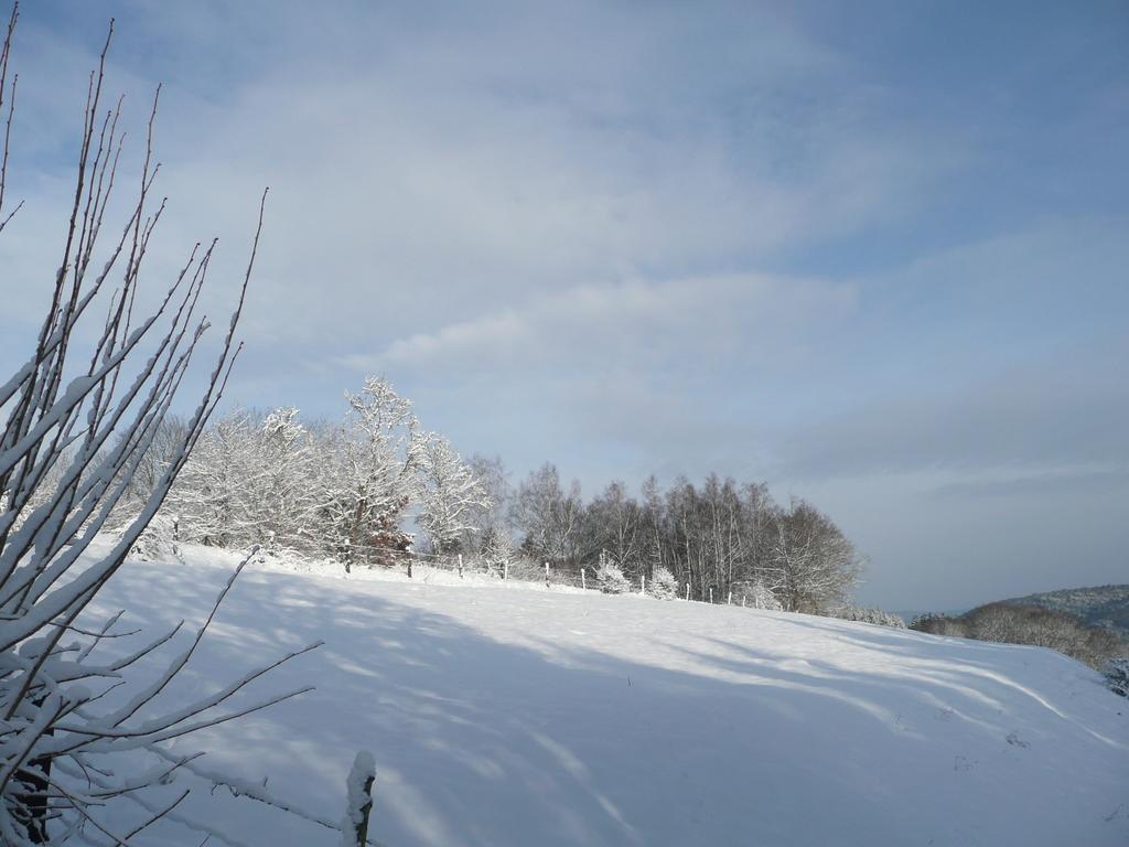 Bed and Breakfast Au Palton Raon-aux-Bois Exterior foto